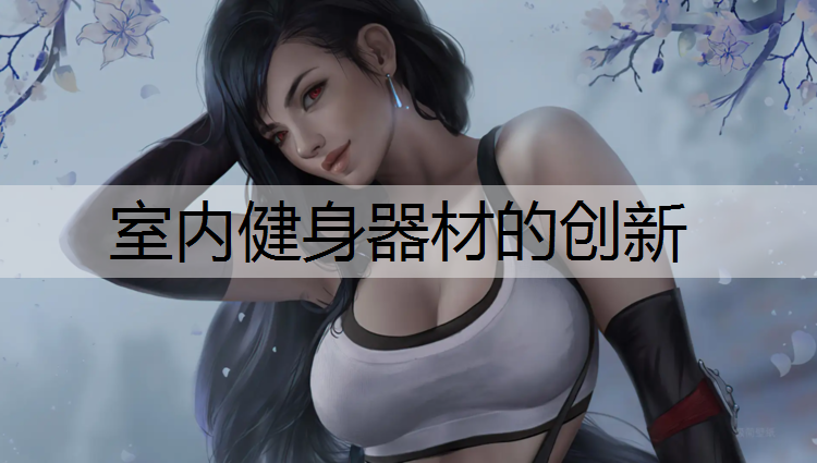 室内健身器材的创新