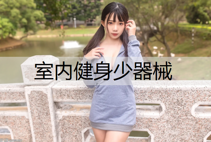 <strong>室内健身少器械</strong>