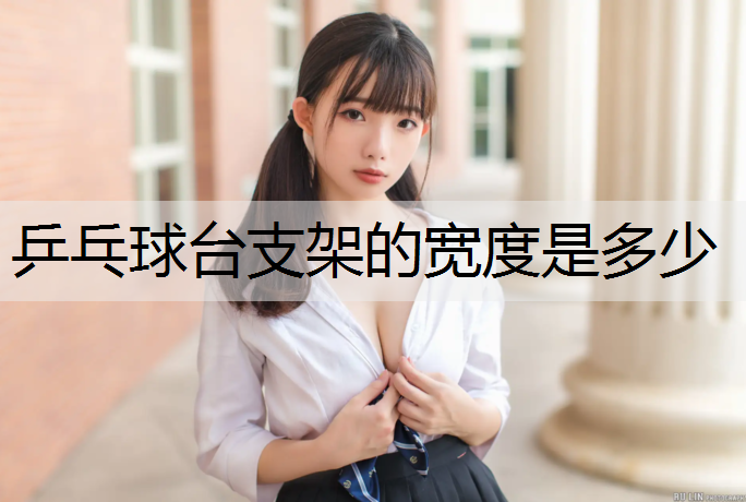 <strong>乒乓球台支架的宽度是多少</strong>