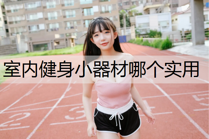 <strong>室内健身小器材哪个实用</strong>