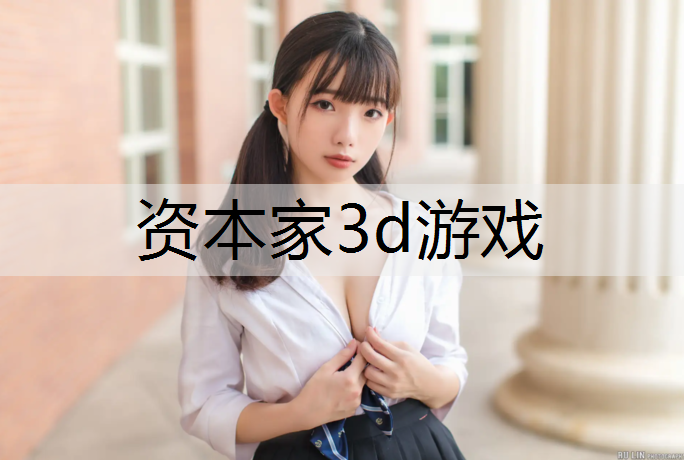 <strong>资本家3d游戏</strong>