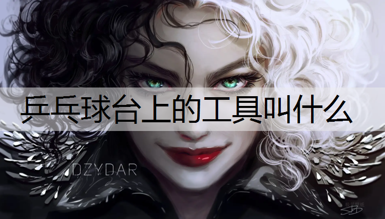 <strong>乒乓球台上的工具叫什么</strong>