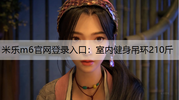 室内健身吊环210斤