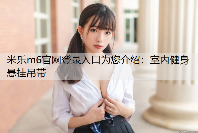 室内健身悬挂吊带