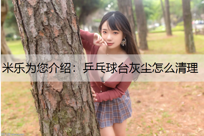 乒乓球台灰尘怎么清理