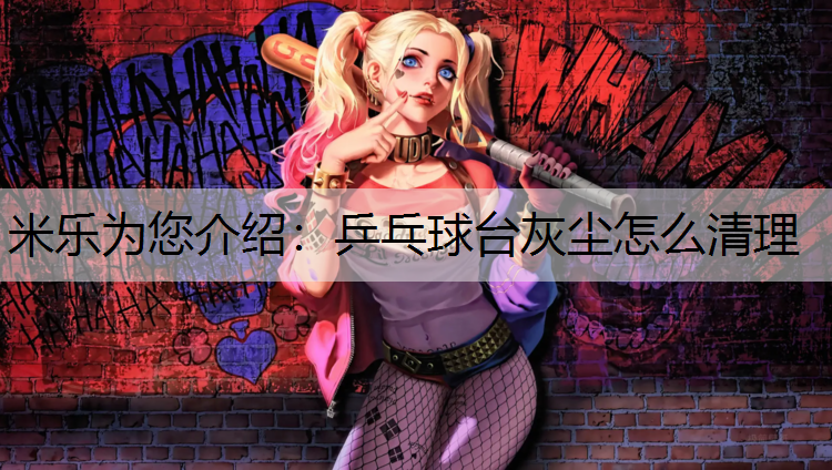 乒乓球台灰尘怎么清理